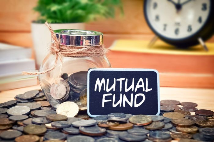 Mutual fund funds beginners