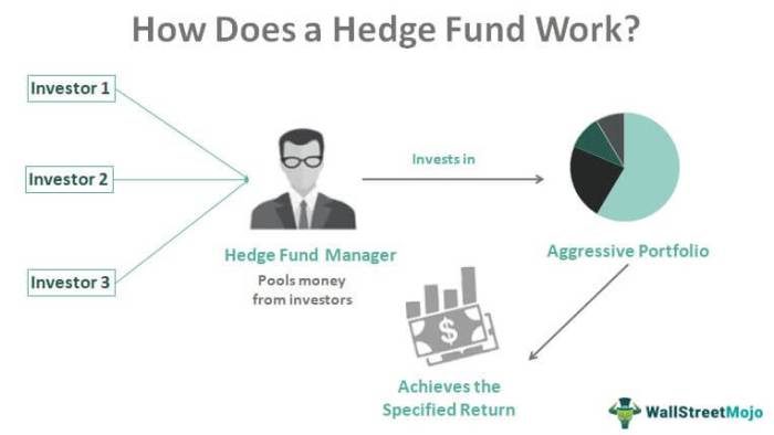 Hedge infographic funds growthink defined types